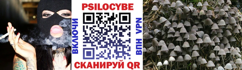 хочу Воткинск Псилоцибиновые грибы Cubensis